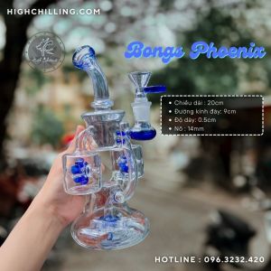 Bongs TT USA G06 Phoenix